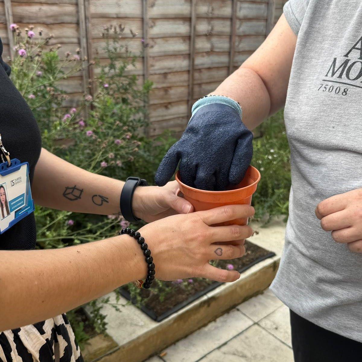 Gardening group at Diverse Services